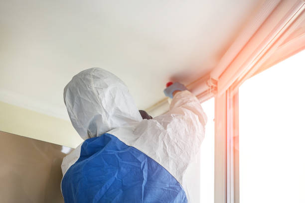 Best Mold Removal for HVAC Installations  in USA